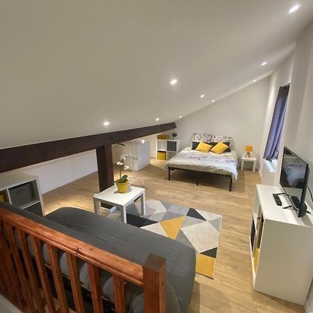 Studio Renove Proche Palais Des Sports Grenoble Bagian luar foto