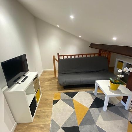 Studio Renove Proche Palais Des Sports Grenoble Bagian luar foto